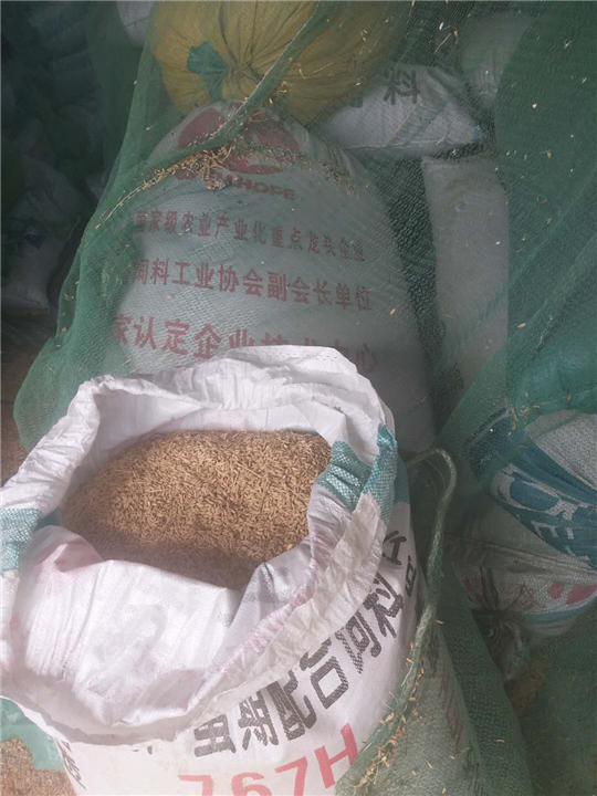 水稻 