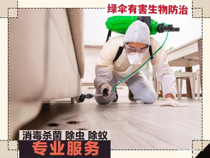 威海灭蟑螂除虫公司