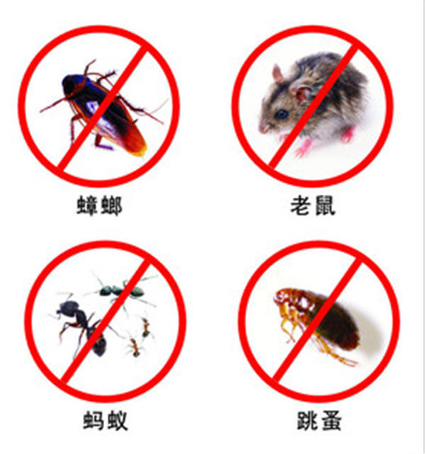 深圳灭白蚁选清道夫-无效不收费 
