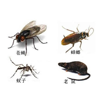 深圳除老鼠的办法-专业灭老鼠技术 