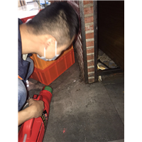 深圳专业消杀臭虫-效果保障 