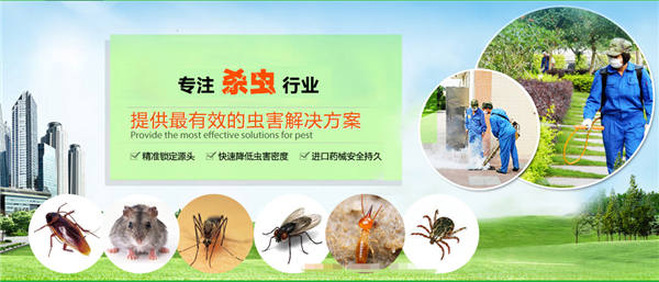 深圳老鼠防治公司-老鼠防治方法 