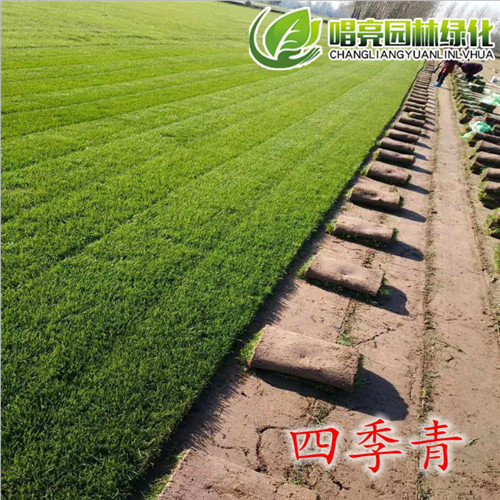 四季青
