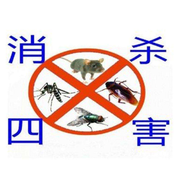 苏州灭鼠除四害 
