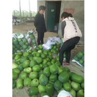 山东莘县西瓜代办电话多少 