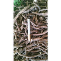 种植