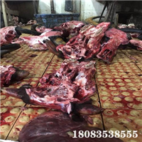 新鲜牛肉批发 