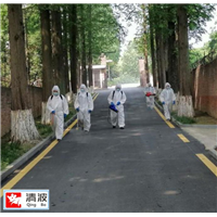 温州白蚁防治公司