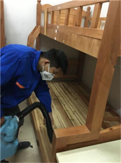 成都灭跳蚤公司