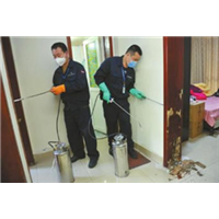 成都白蚁防治价格