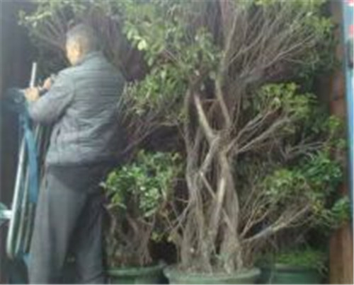 佛山搬家公司多少钱