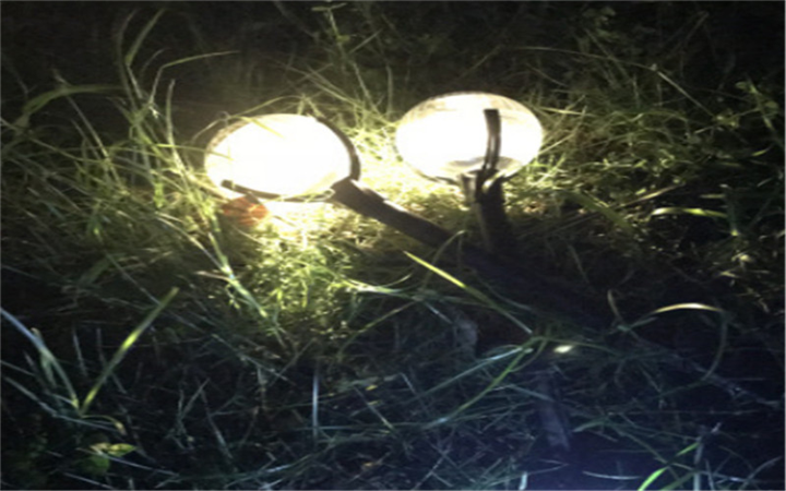 江西地插花园灯厂家直销