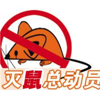 莱芜灭老鼠-莱芜写字楼灭老鼠