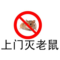 潍坊灭老鼠-潍坊医院灭老鼠