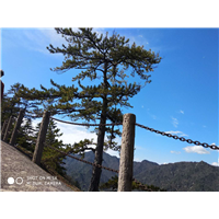 商洛木王山景区农家乐