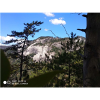 【木王山农家乐住宿】木王土豆奇遇记 