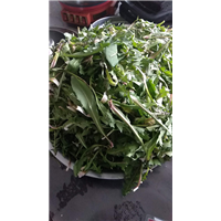 【陕西】商洛农家乐 