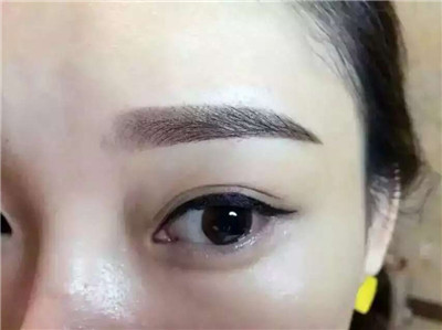 泉州纹眉 