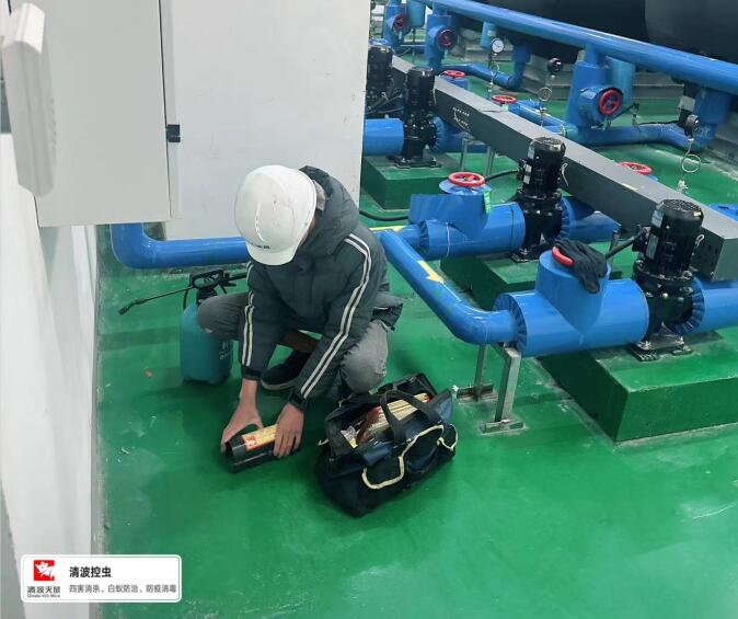 长兴灭白蚁