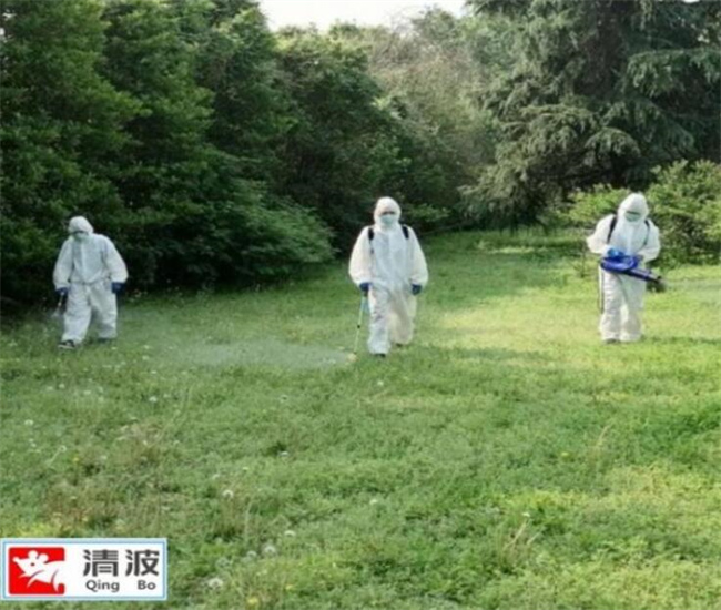 长兴餐馆灭鼠杀虫