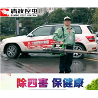 长兴超市灭鼠杀虫