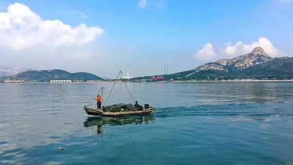 大乳山渔家乐