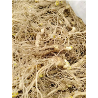 特级中药材 
