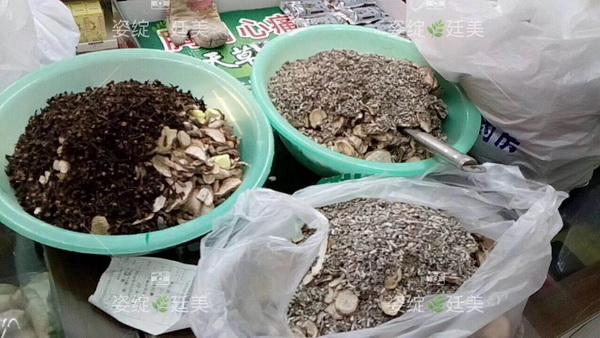 姿绽呈美