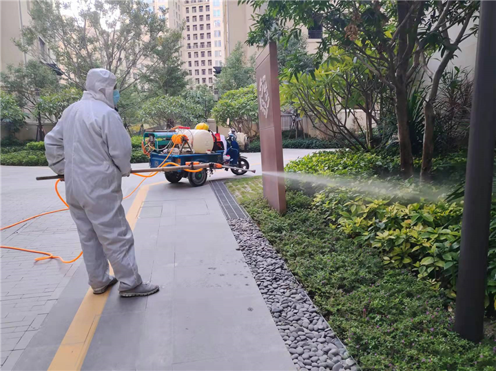 泉州灭鼠公司如何售楼部灭鼠方法