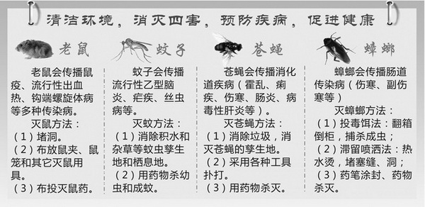 厦门灭白蚁