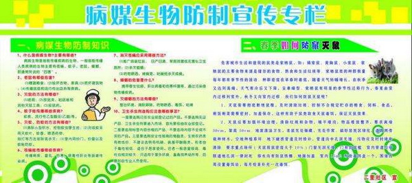 厦门灭白蚁