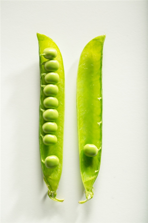 豌豆 