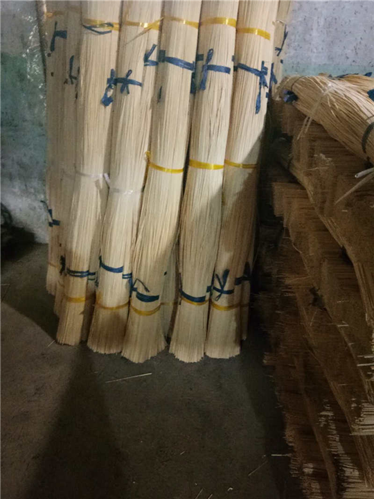 毛竹 
