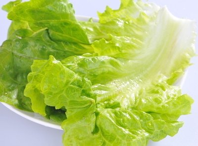 生菜 