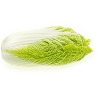 白菜 