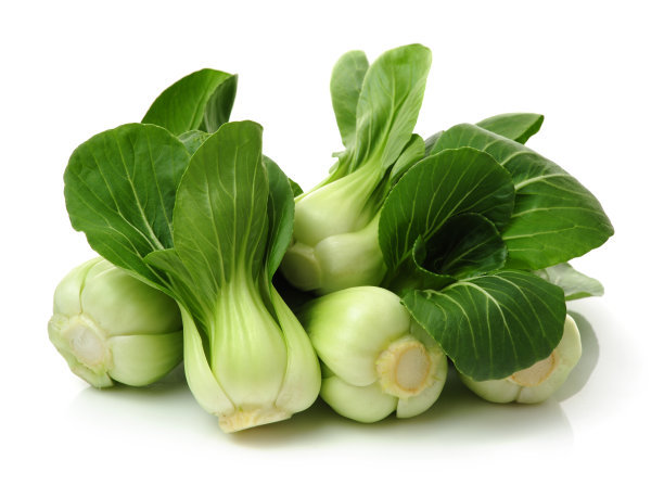 油菜 