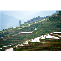 安顺旅游包车服务电话 