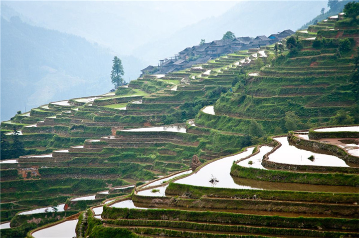 安顺旅游包车服务电话 
