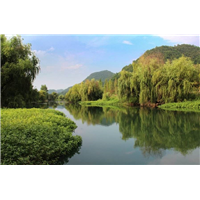 贵阳安顺黄果树机场接送找汪师傅 