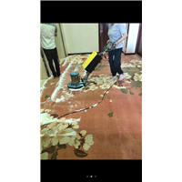 中山地毯清洗公司