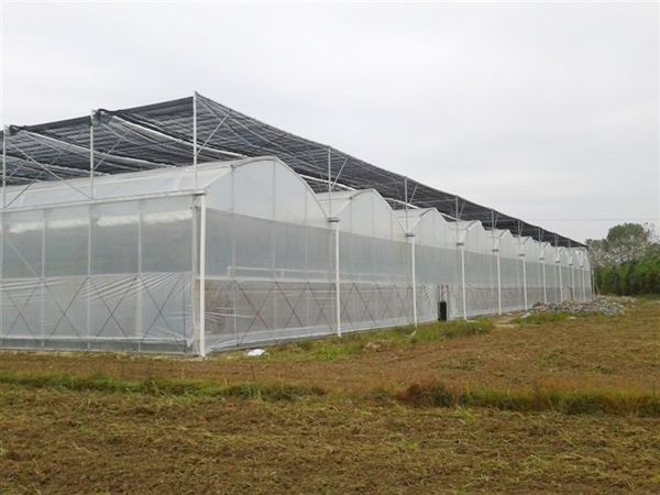 连栋温室大棚 蔬菜水果种植热镀锌温室大棚 