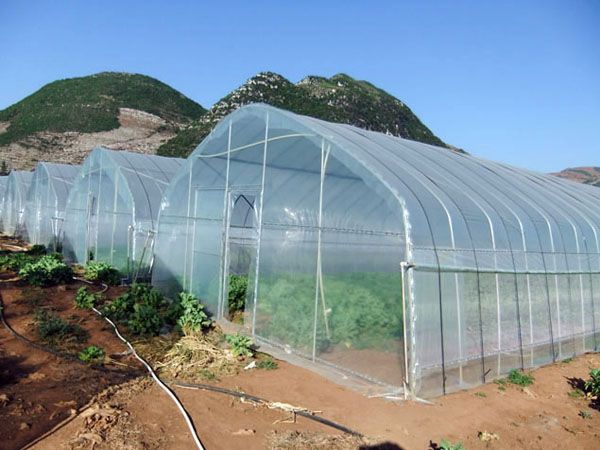 厂家直销 镀锌管简易连栋大棚现货连体大棚安装温室工程连栋大棚 