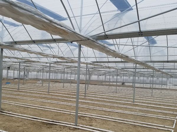 厂家直销 连栋温室大棚 简易连体大棚 连栋大棚 