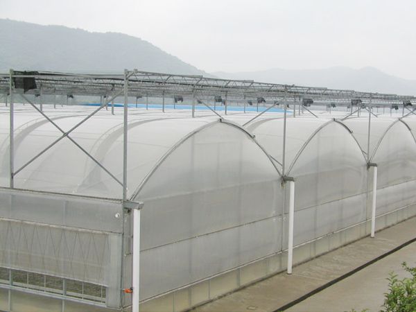 智能温室连栋大棚锯齿型 遮阳连栋大棚塑料薄膜 