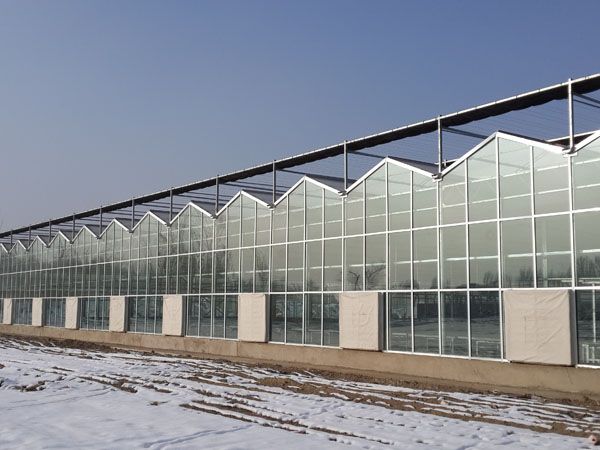 设计玻璃温室 温室大棚建设 智能玻璃温室 