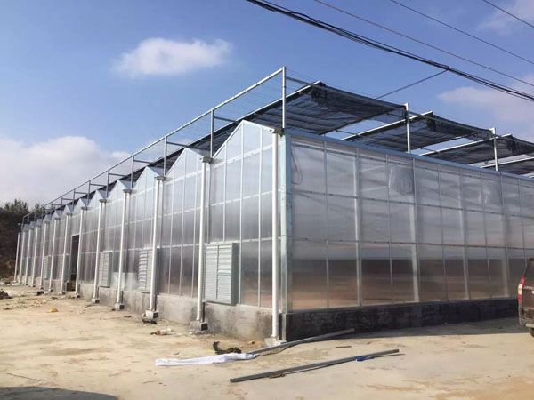 厂家直销阳光板温室大棚 阳光板温室大棚骨架供应安装厂 