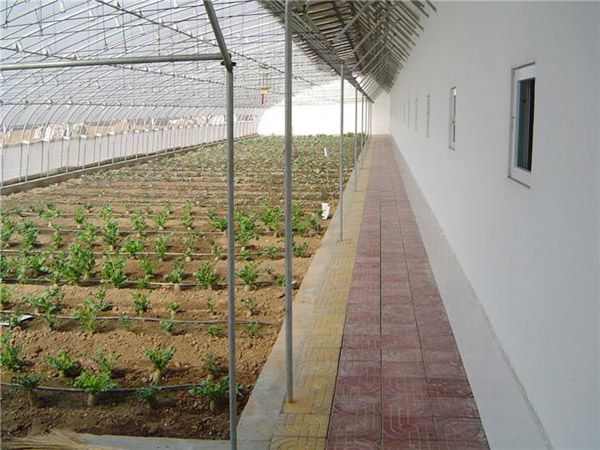 无锡大棚厂 订做生产 日光薄膜大棚 智能温室大棚 来厂优惠 
