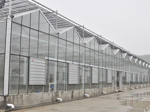 温室智能玻璃大棚生态大棚花卉温室大棚种植农业玻璃大棚 