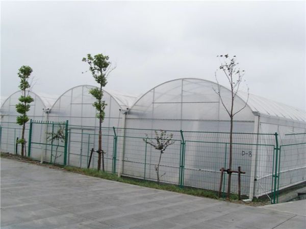 连栋温室花卉大棚 花卉连栋大棚观光温室 