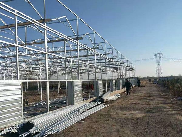 花卉温室大棚保温坚固连栋植物种植温室大棚热镀锌大棚 